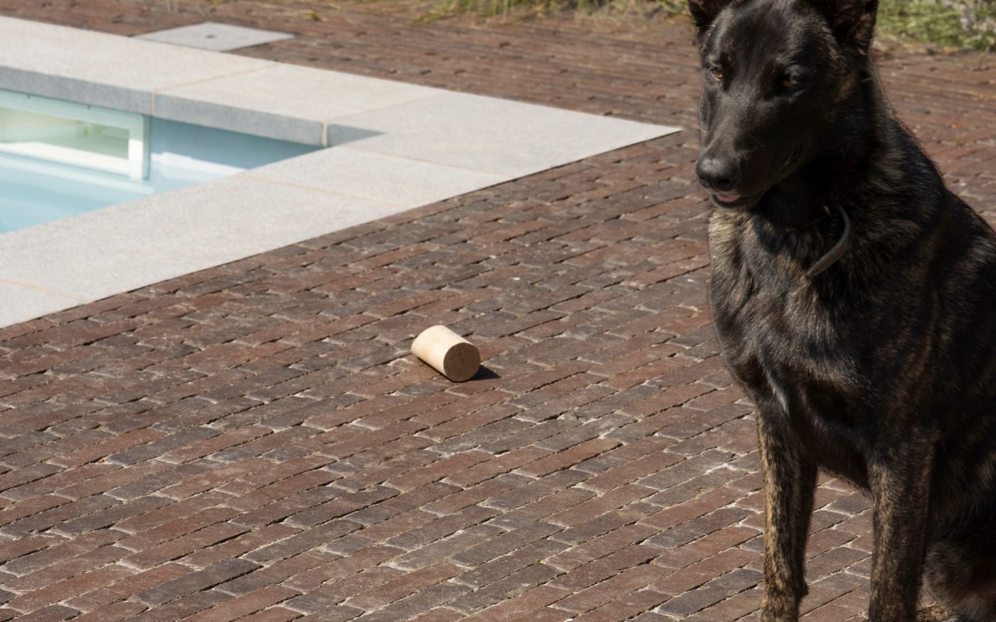 Reference photo private landscaping in Eghezee