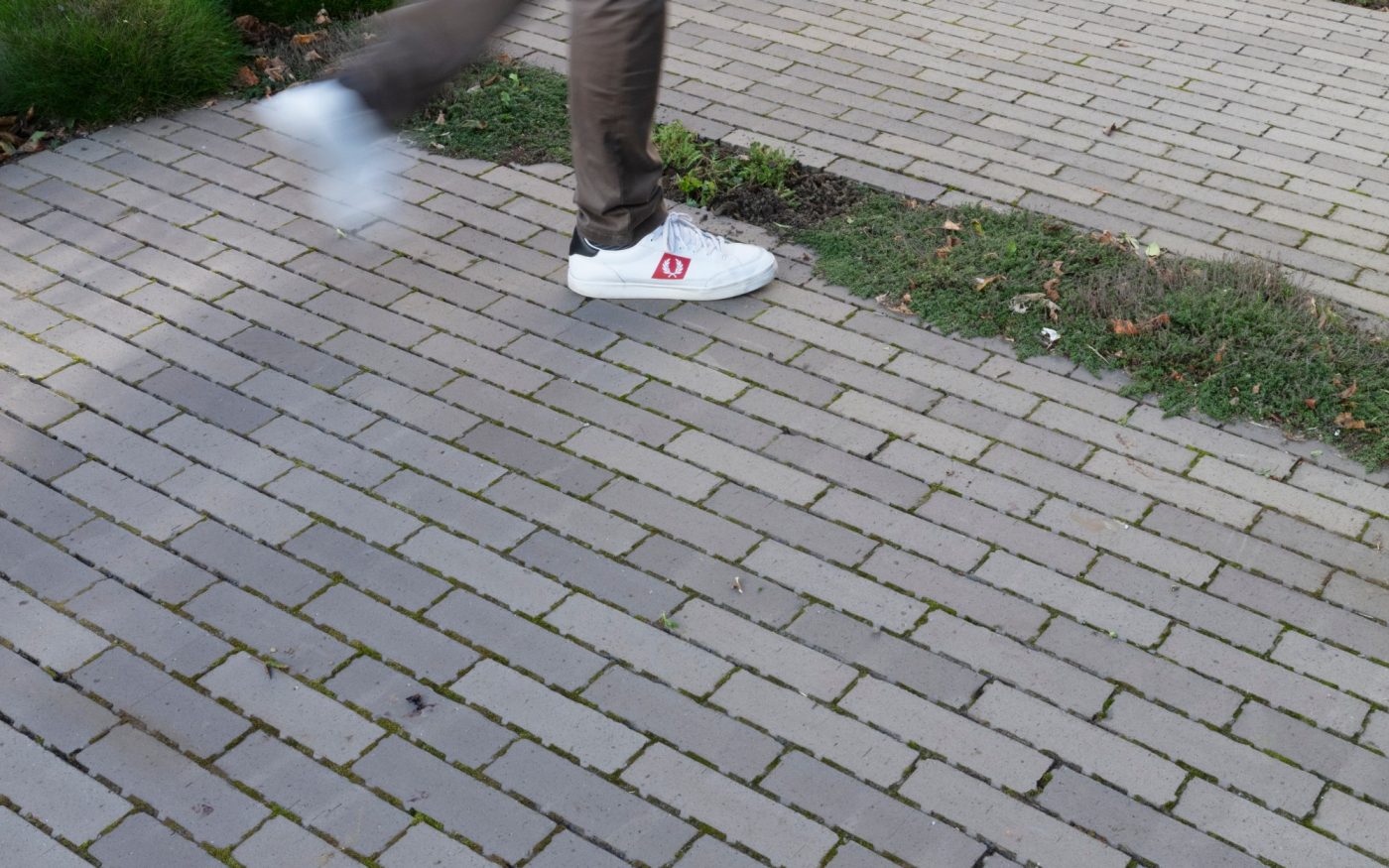 Reference photo private landscaping in Sint-Niklaas