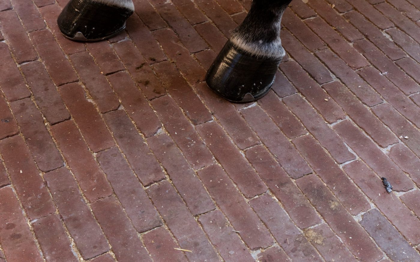 Reference photo infrastructure landscaping in Wolvertem