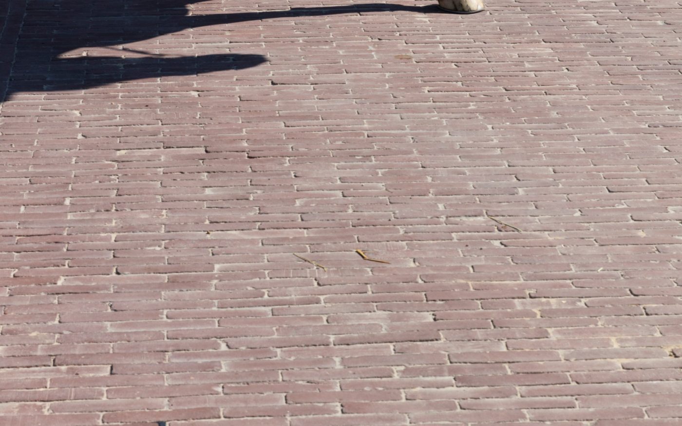 Reference photo infrastructure landscaping in Wolvertem