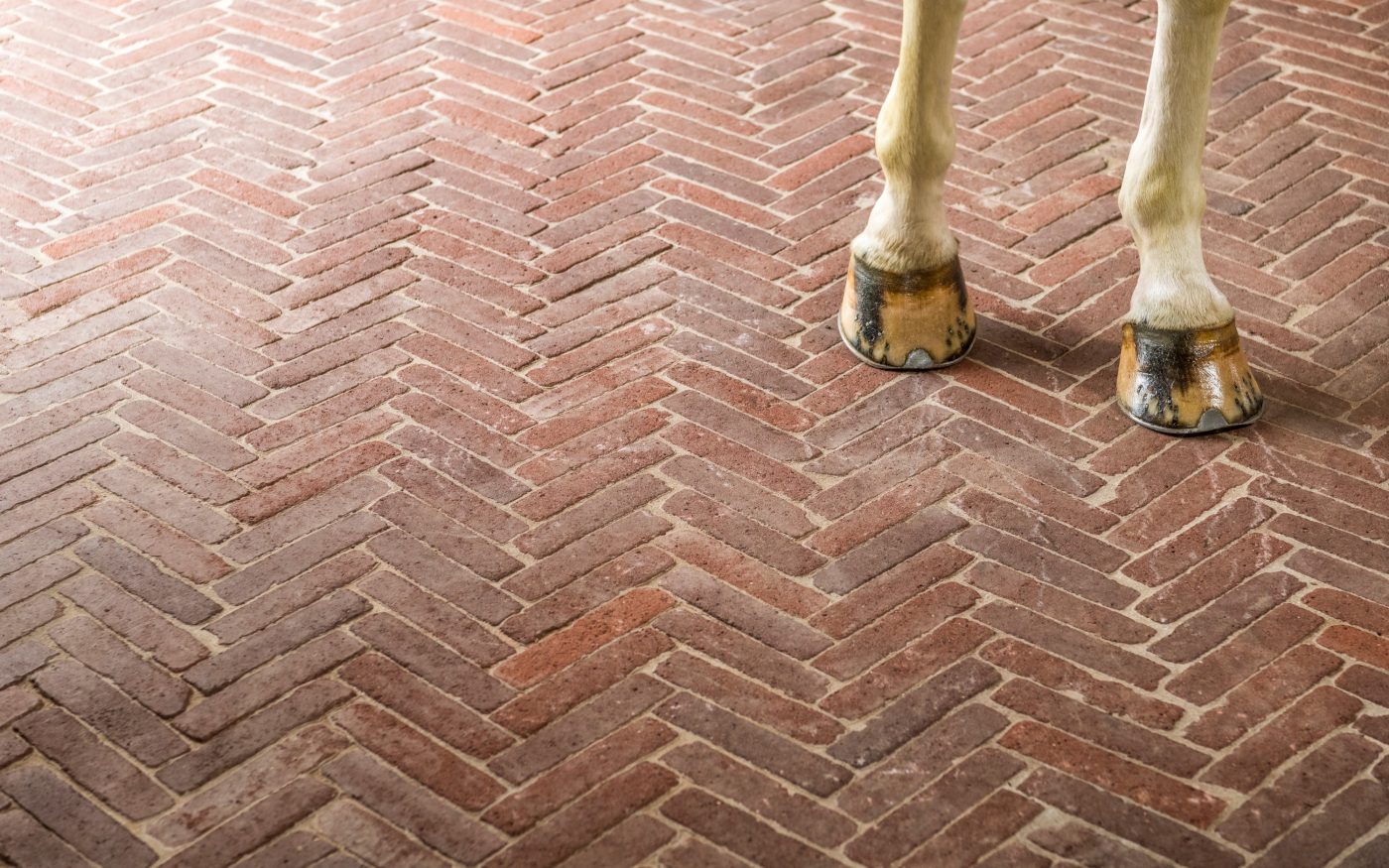 Reference photo private landscaping in Oudenaarde