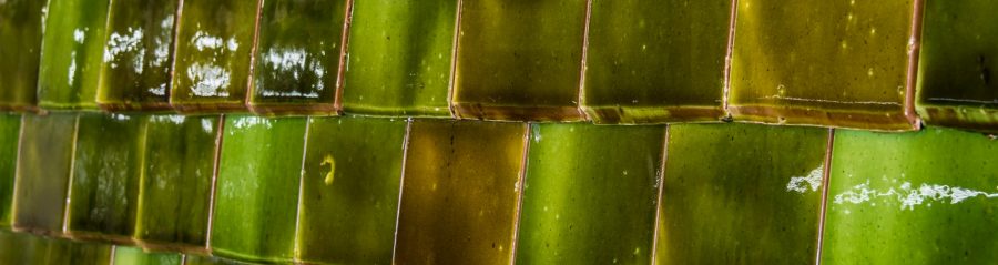 Reference photo new construction education in Wilrijk