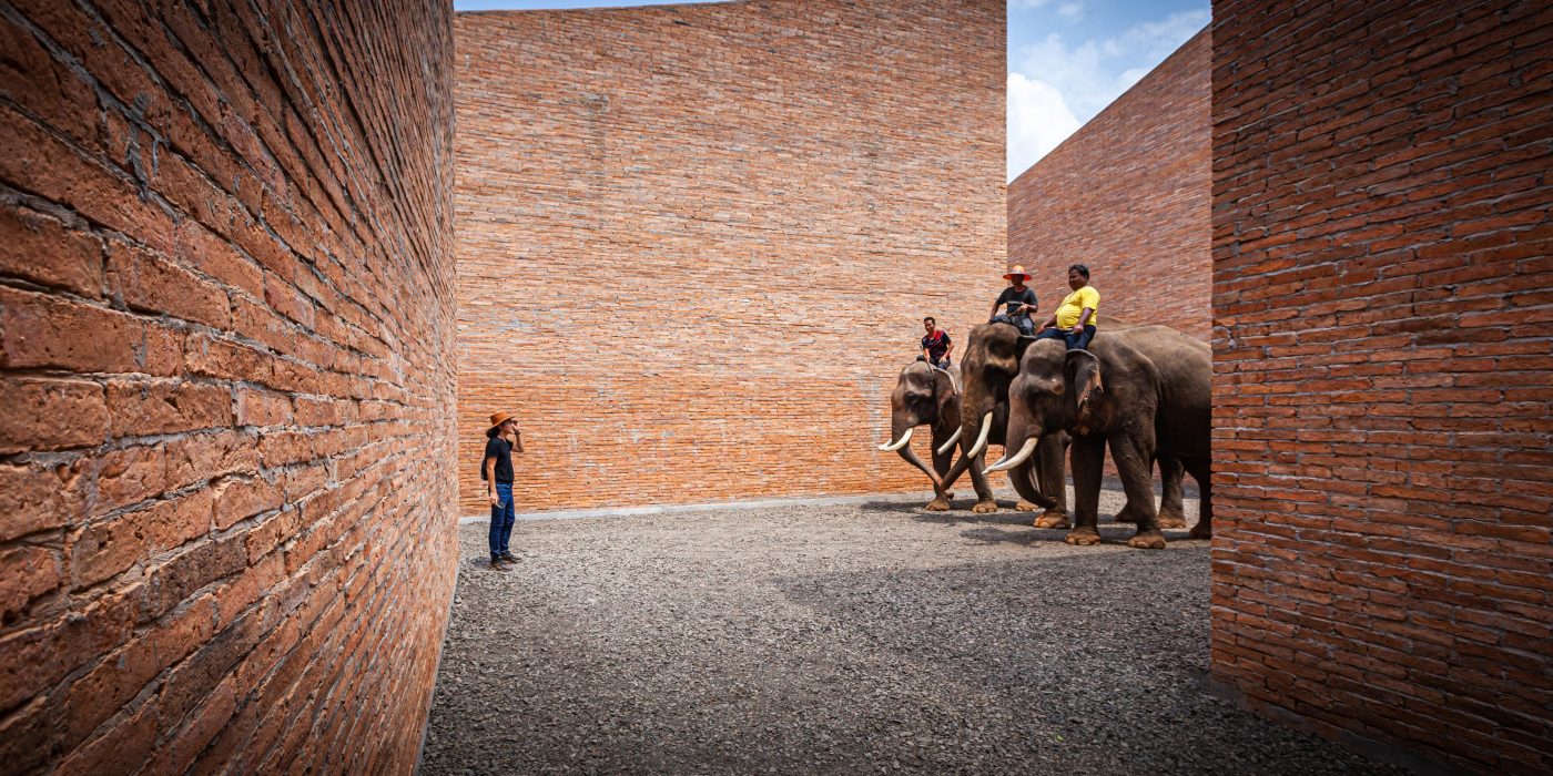 Elephant World. Brick Award 22 Category "Building outside the box". Bangkok Project Studio. courtyard view with elephants