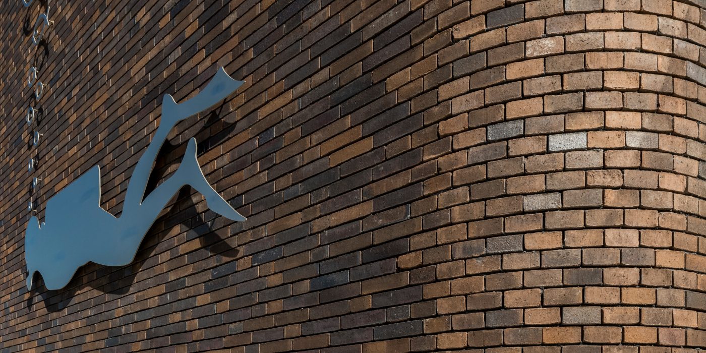 Reference photo renovation utility in Beringen