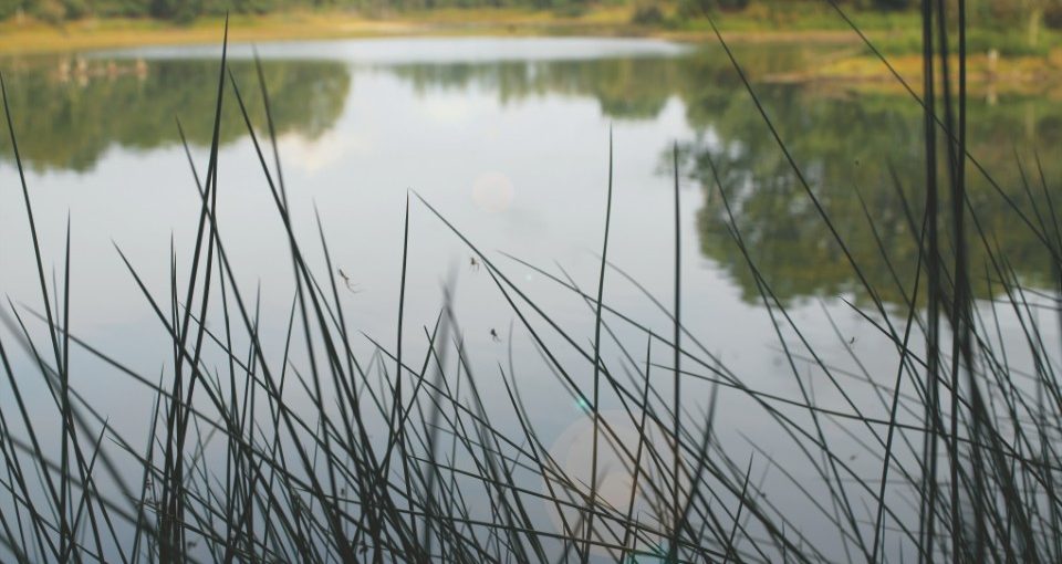 Post-authorization clay quarry