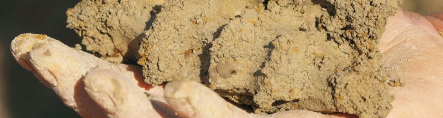 Photography of clay