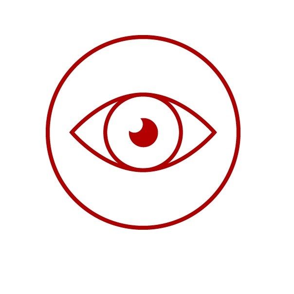 Icon for aesthetic, visualisation, surveillance