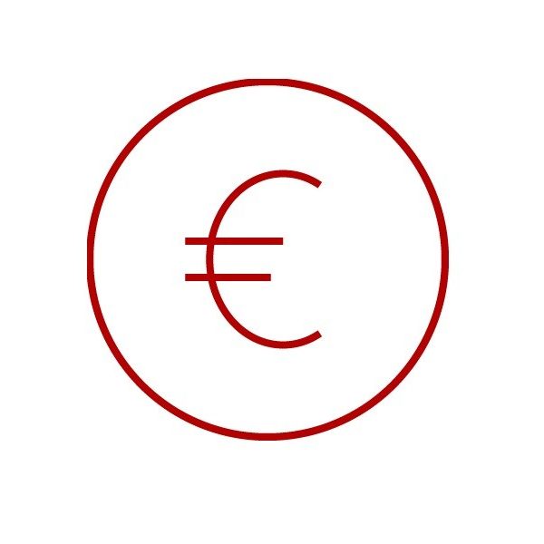 Icon with € symbol, Euro, money, coin, e4