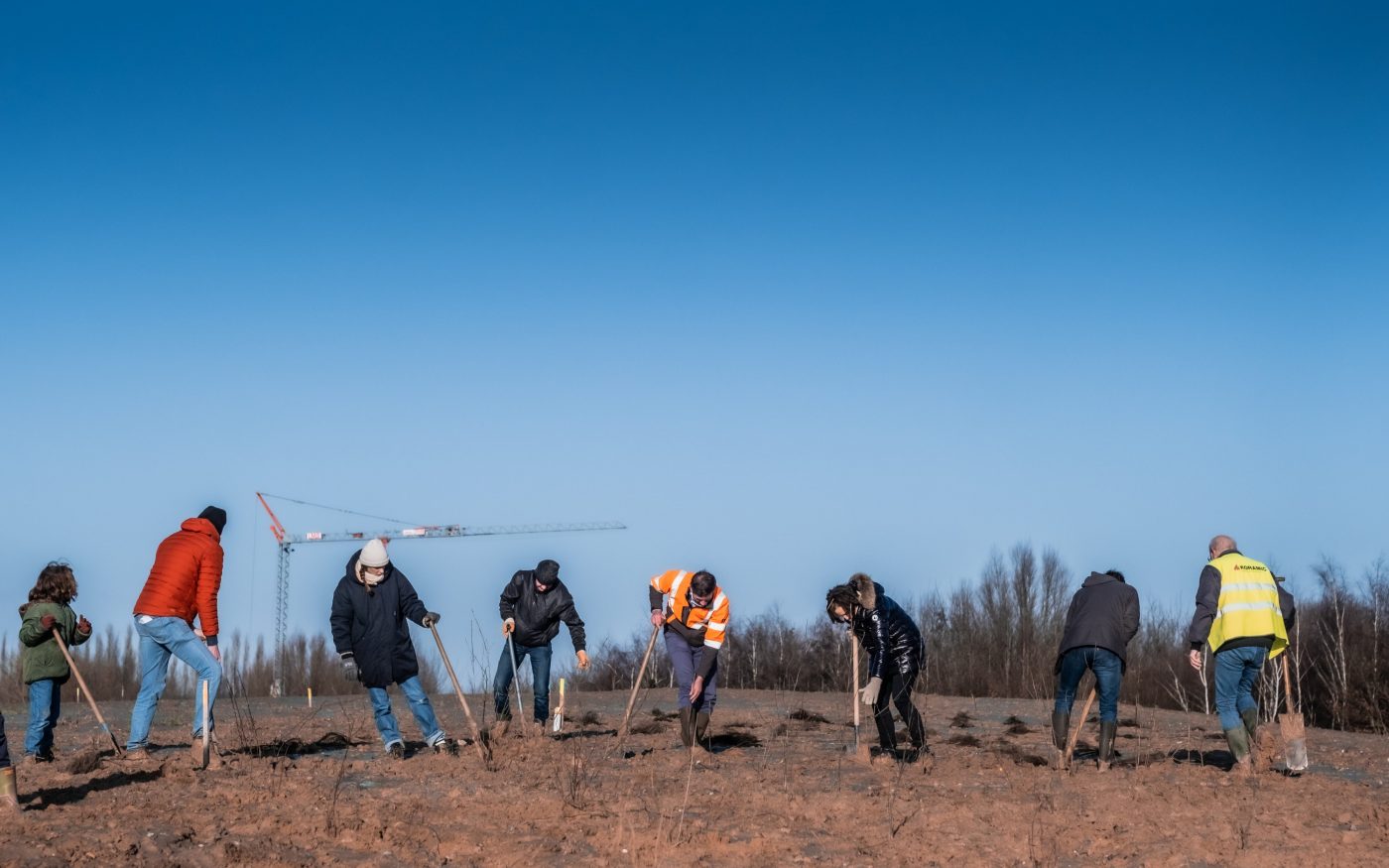 20210109 Aalbeke, Belgie. Wienerberger en Agentschap Natuur en Bos planten 2.650 nieuwe bomen in de voormalige groeve ‘Dewitte’, waar Wienerberger gedurende lange tijd klei groef voor de productie van kleidakpannen in de Koramic. Nu het Preshoekbos.