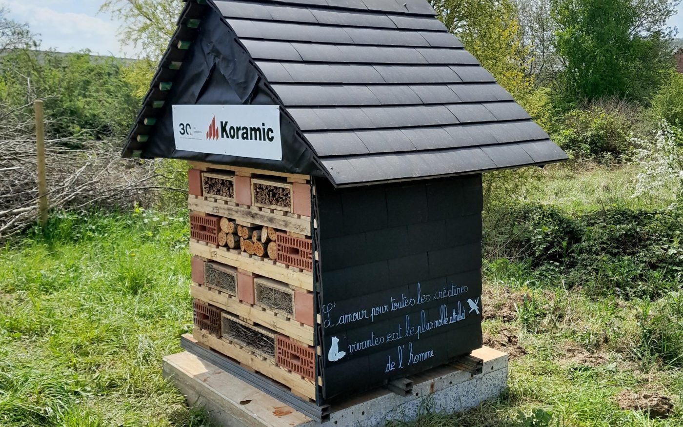 Landduin met zandige toplaag