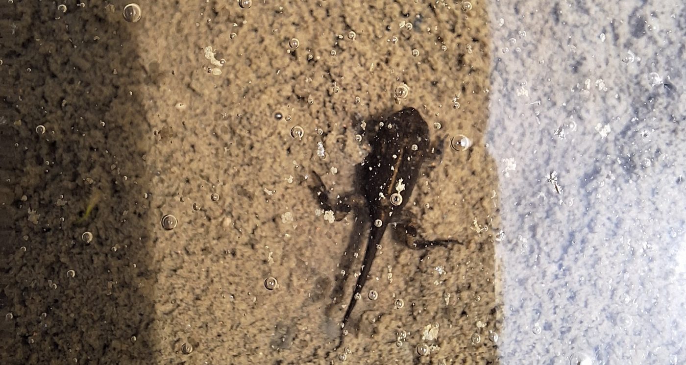 Photography used in Durability report 2024