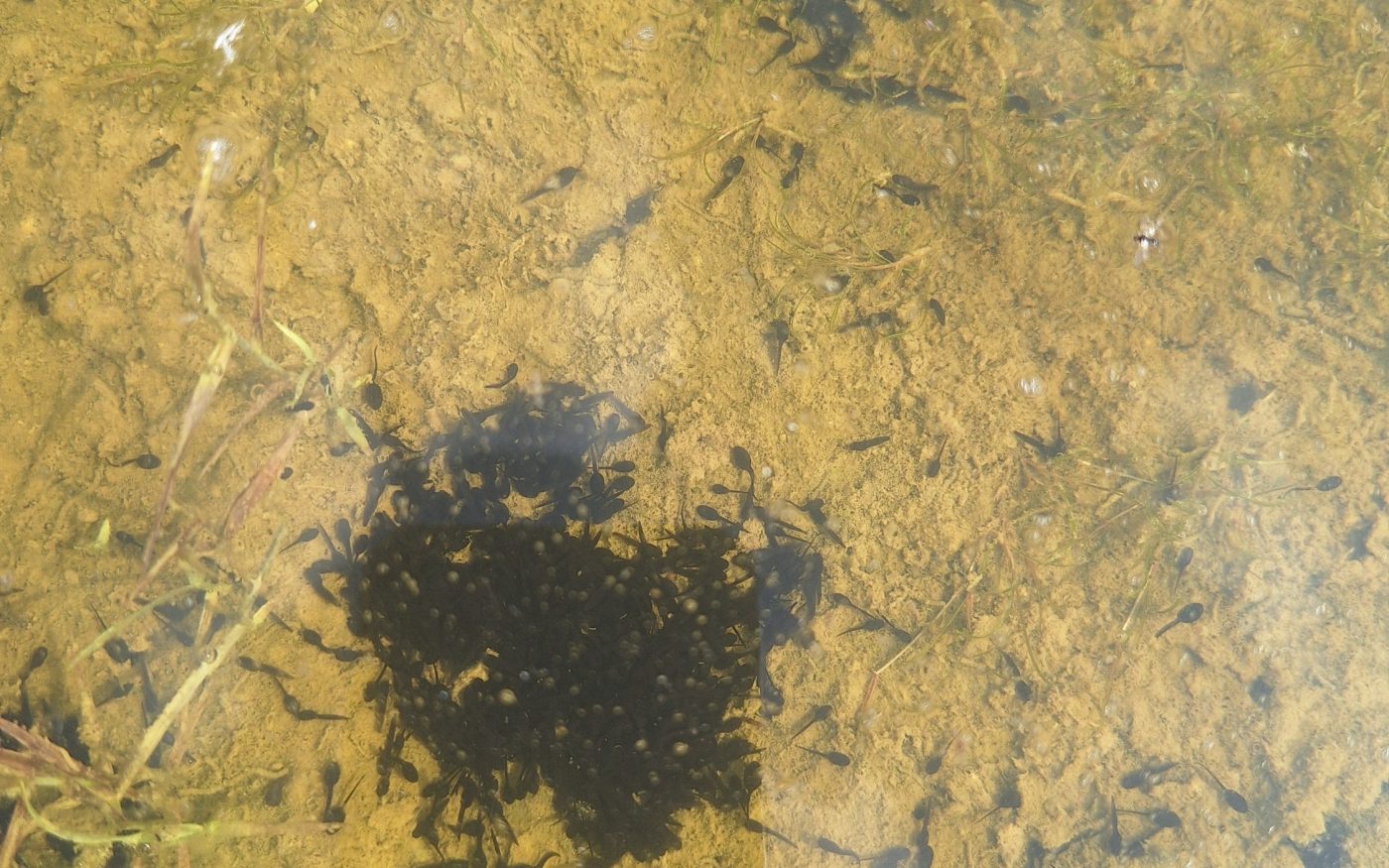 Photography used in Durability report 2024