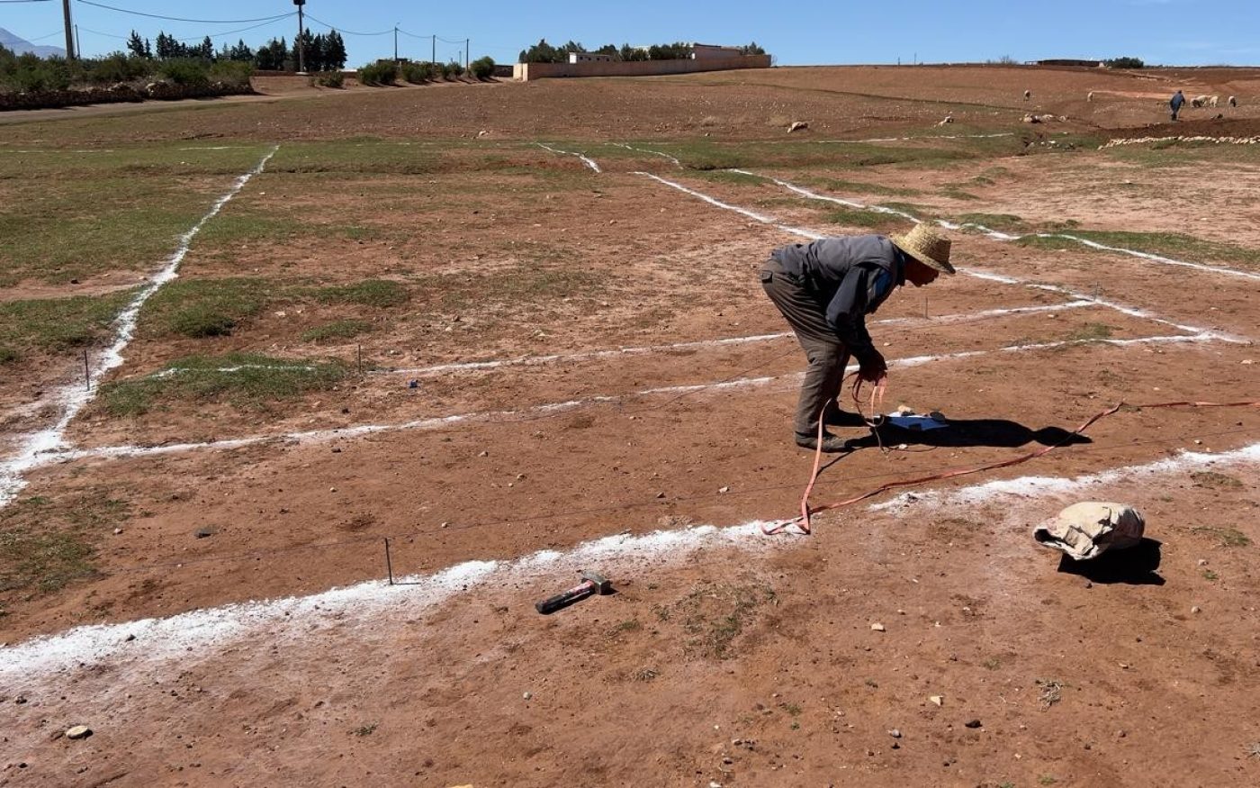 Wevolt X-Tile - Ekowood