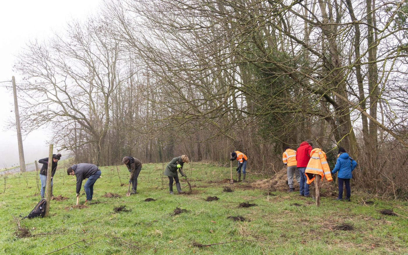 Boomplantactie Zwevegem