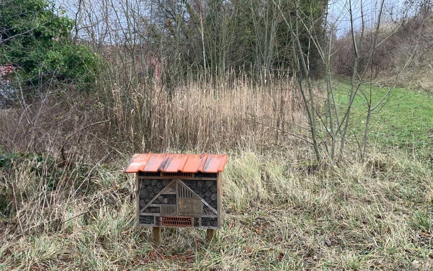Hôtel à abeilles de Zonnebeke
