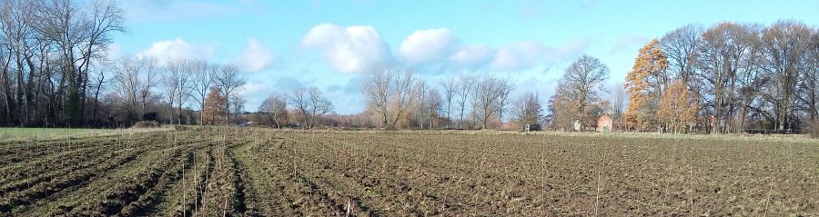 Boscompensatie Putte