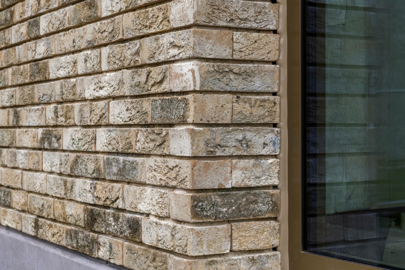 Rénovation d'un bâtiment scolaire à Louvain