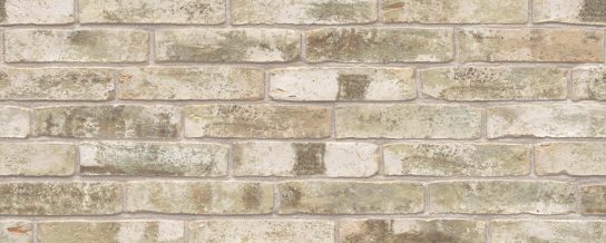 Texture 3D Fjord Alta