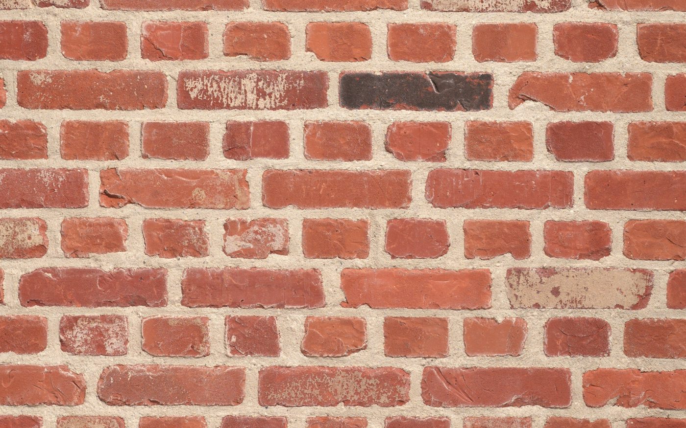 Packshot of a panel with Recup Molenlandse Rijnvorm