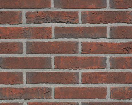 Packshot of a panel with Agora Wijnrood facing bricks