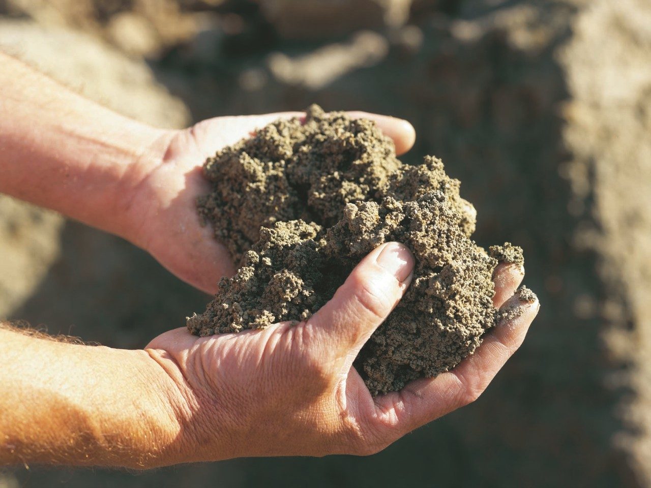 Photography of hands holding clay