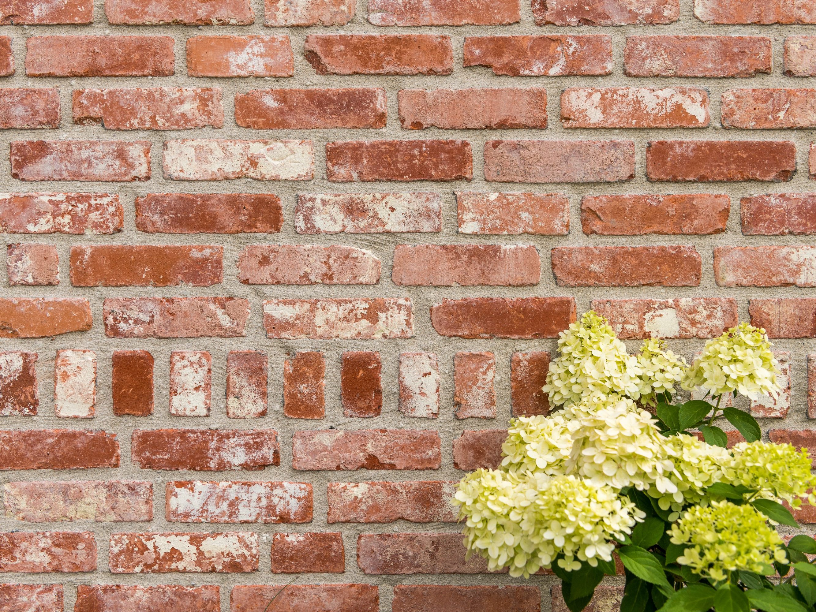 Reference photo new construction 3 single family homes in Boezinge 