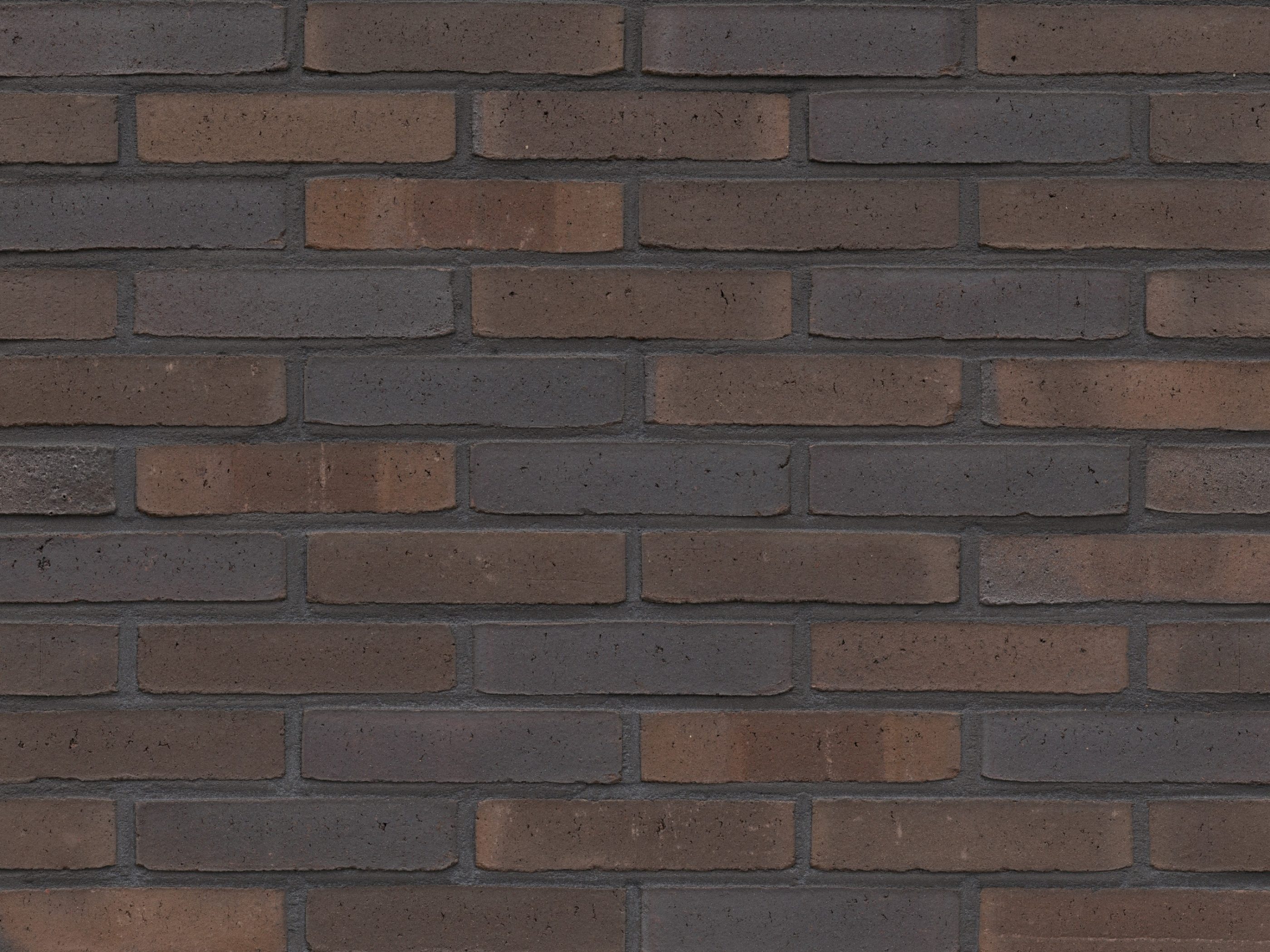 Milosa Cosmos Excusief