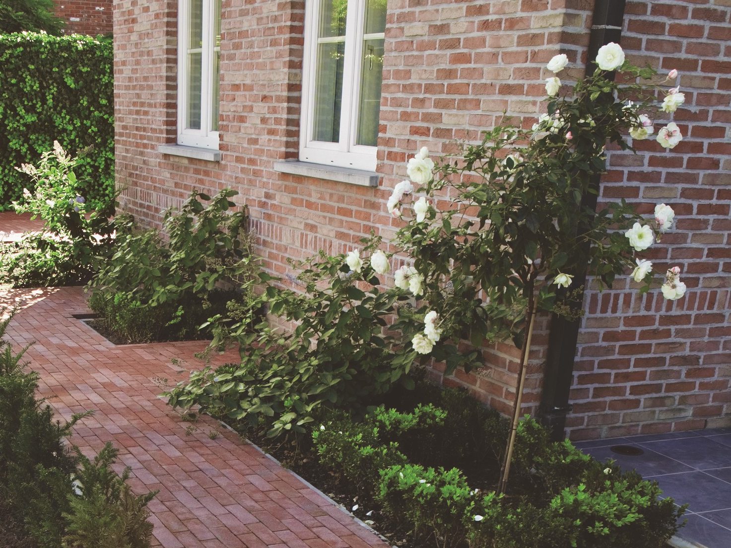 Let’s go swimming in the pool