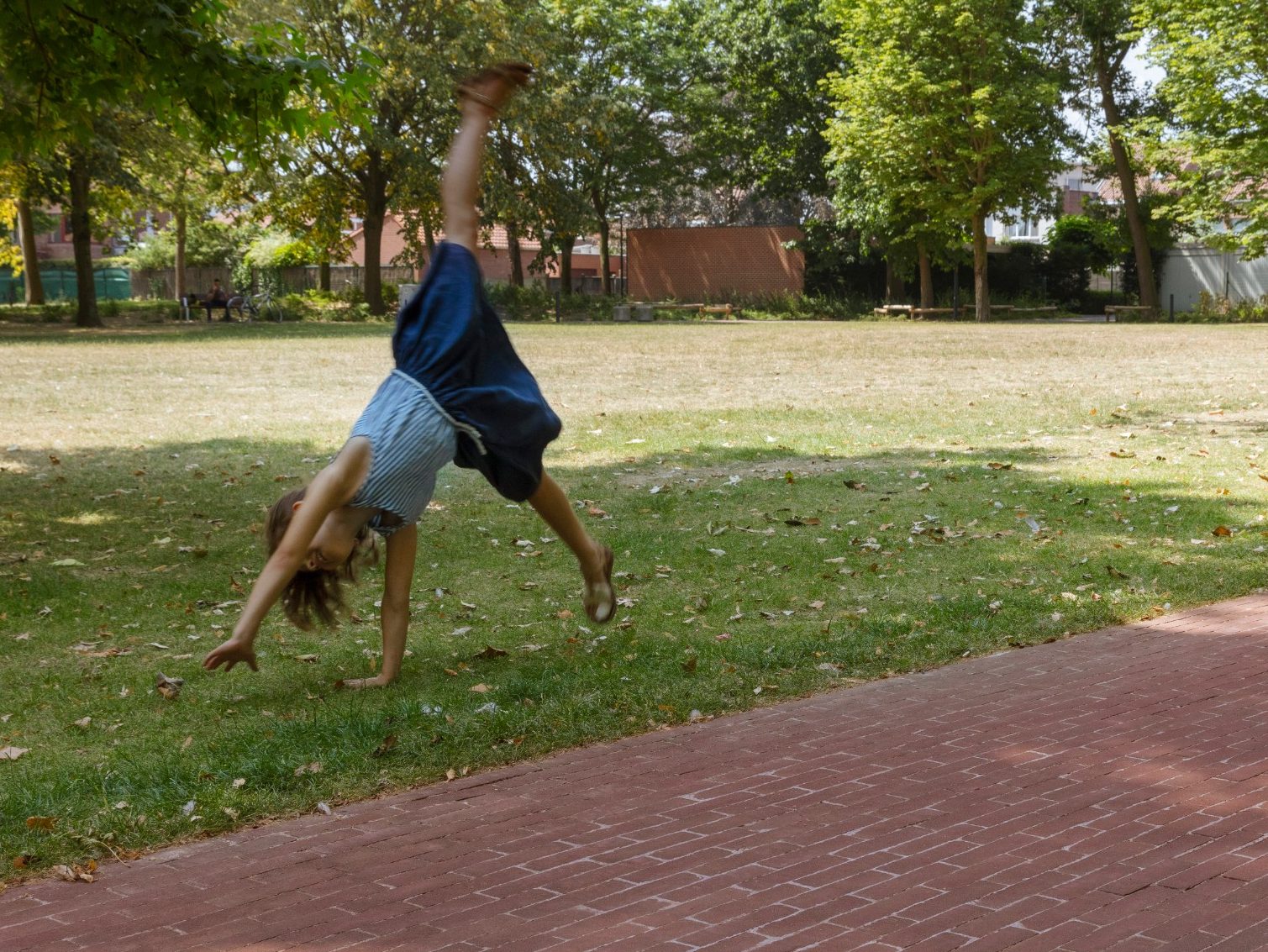 Let’s go swimming in the pool