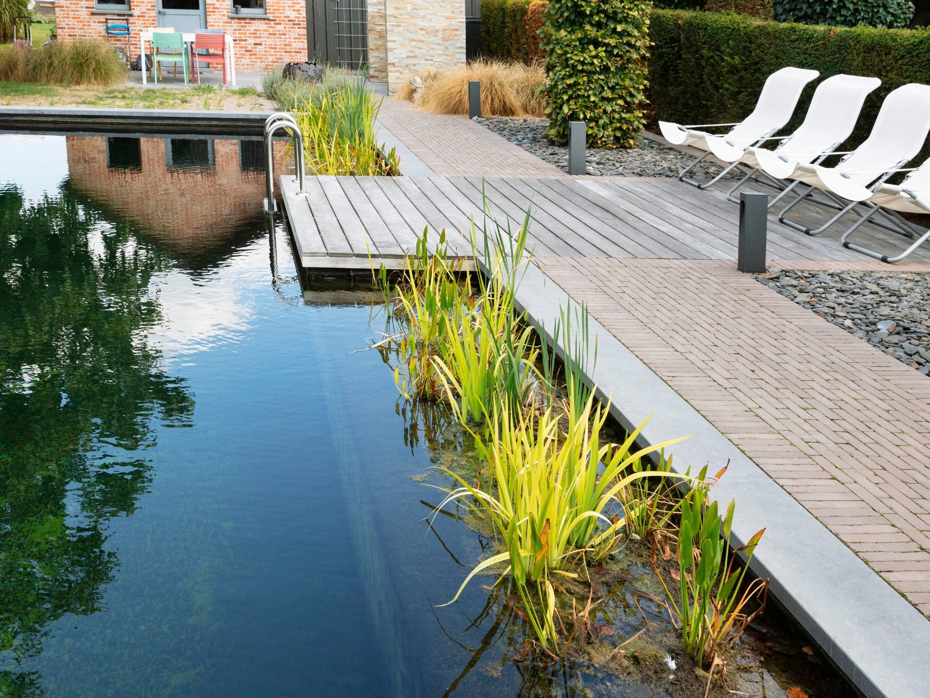 Let’s go swimming in the pool