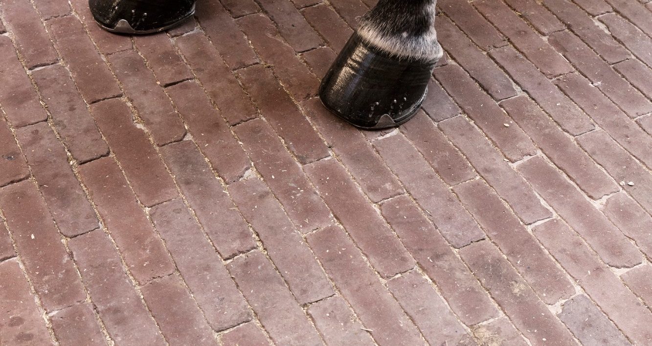 Paardenhoeve met kleiklinkers