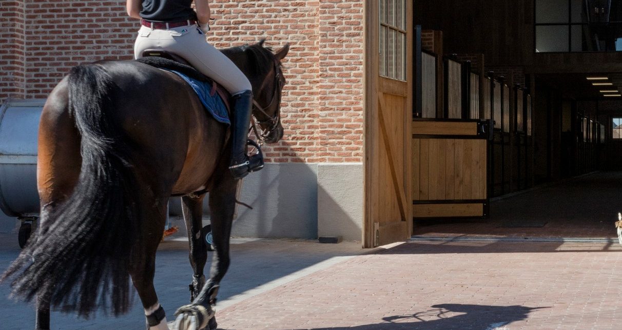 Paardenhoeve met kleiklinkers