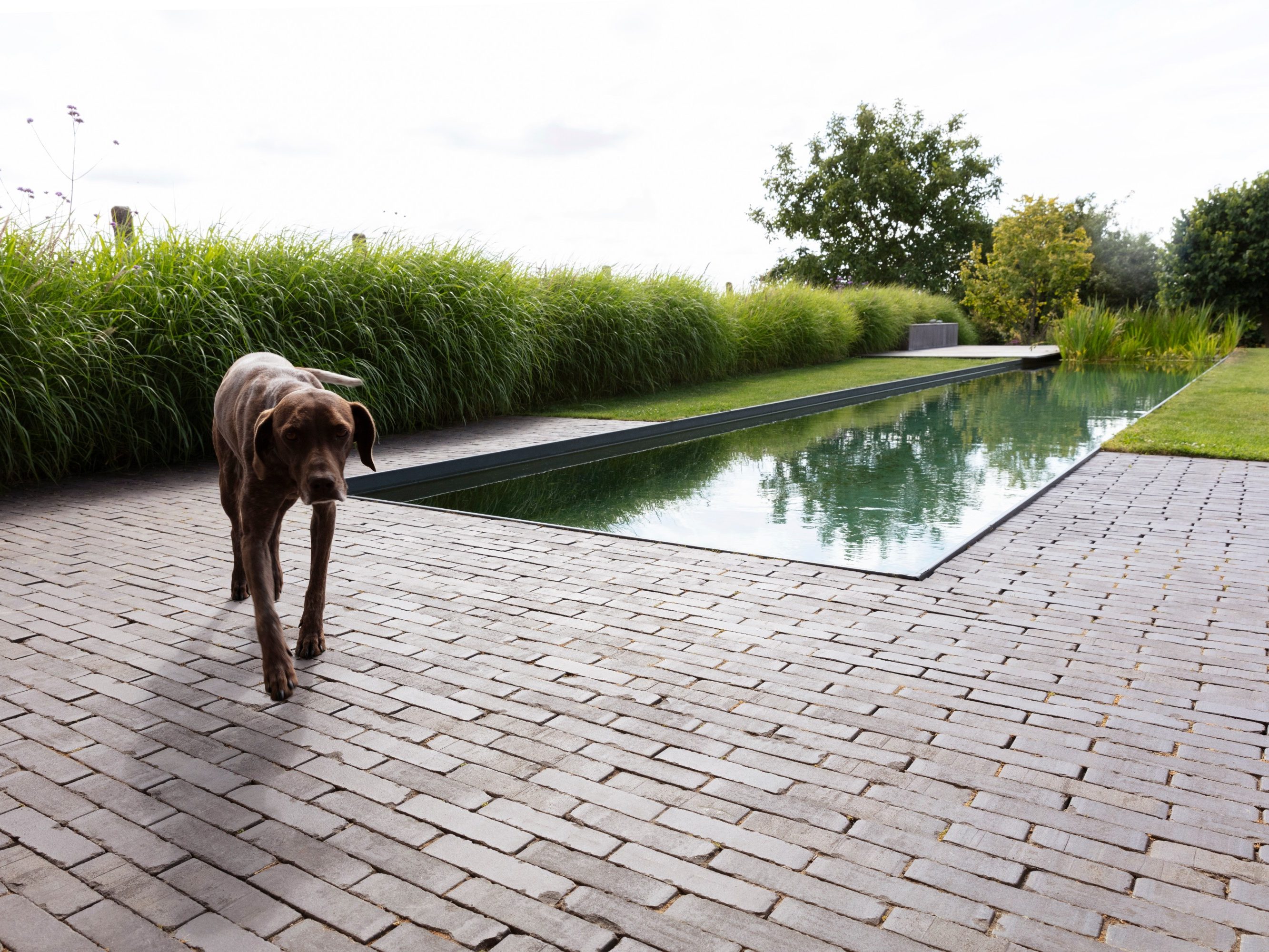 Let’s go swimming in the pool