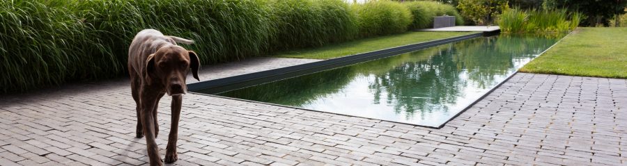 Reference photo private landscaping in Brakel