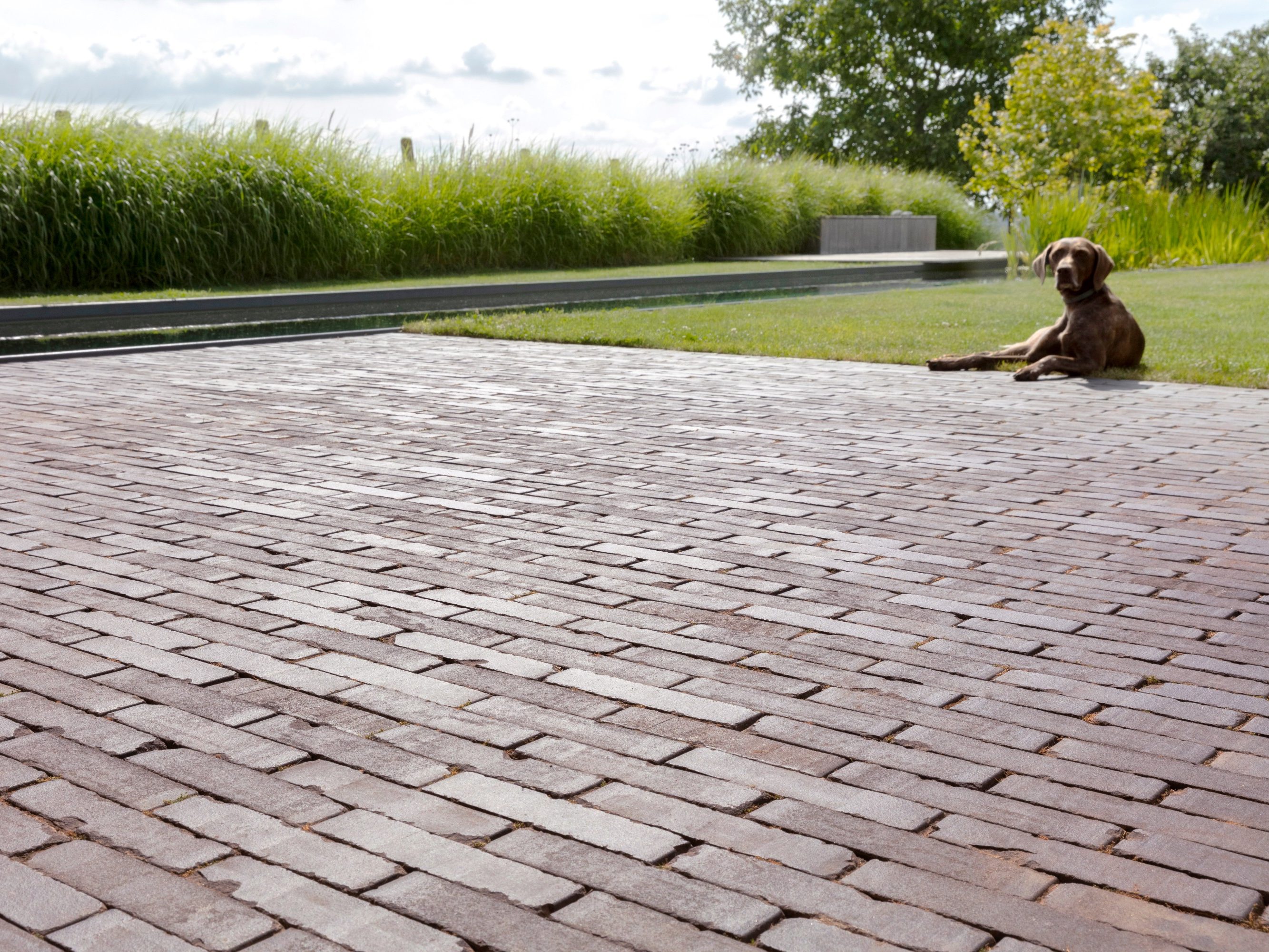 Reference photo private landscaping in Brakel