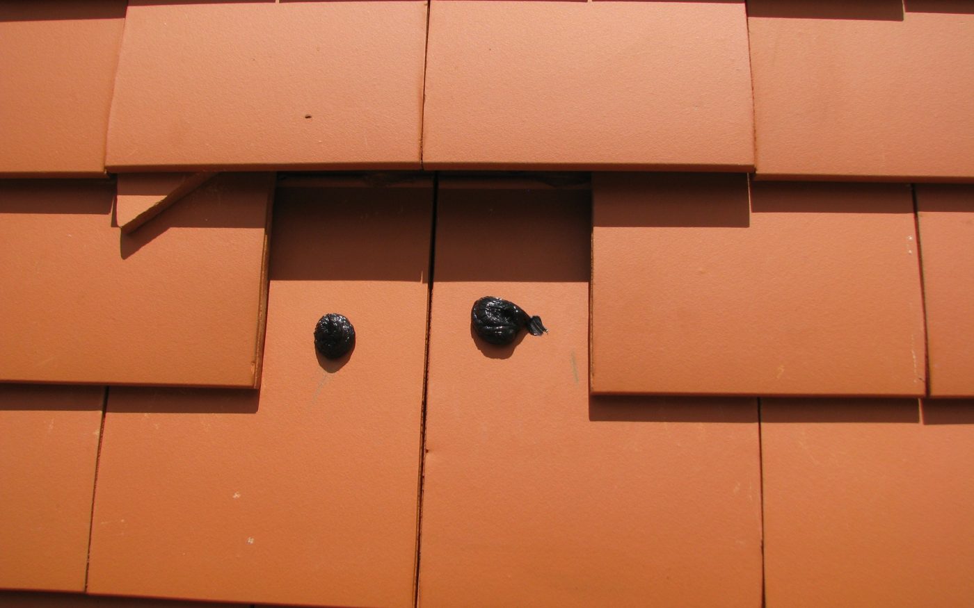 5b. Avec du Multi-Fix, appliquez 2 points de colle aux endroits tels que montrés sur la photo.