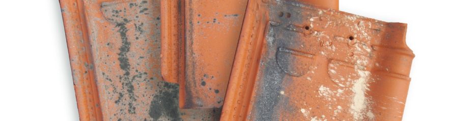 Nieuwe dakpannen met de look van recuperatie