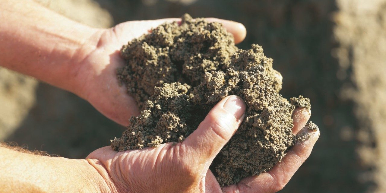 Photography of hands holding clay