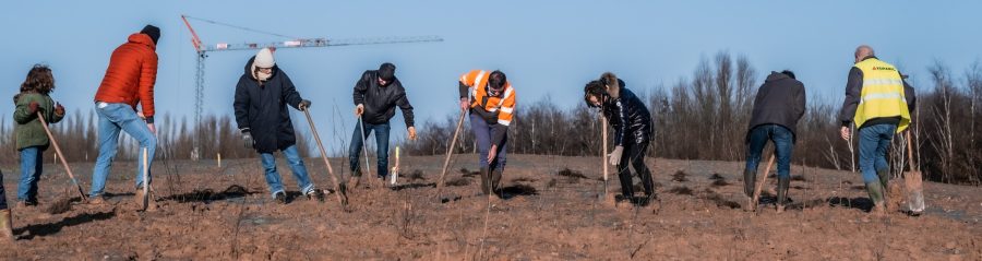 20210109 Aalbeke, Belgie. Wienerberger en Agentschap Natuur en Bos planten 2.650 nieuwe bomen in de voormalige groeve ‘Dewitte’, waar Wienerberger gedurende lange tijd klei groef voor de productie van kleidakpannen in de Koramic. Nu het Preshoekbos.