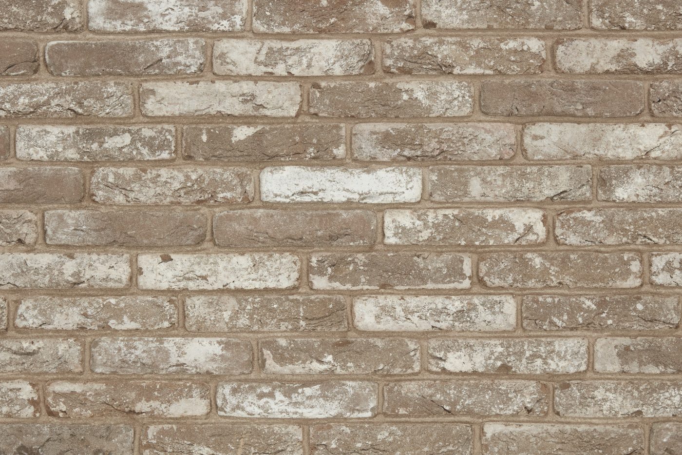 Packshot of a panel with Avolto Nila Greige