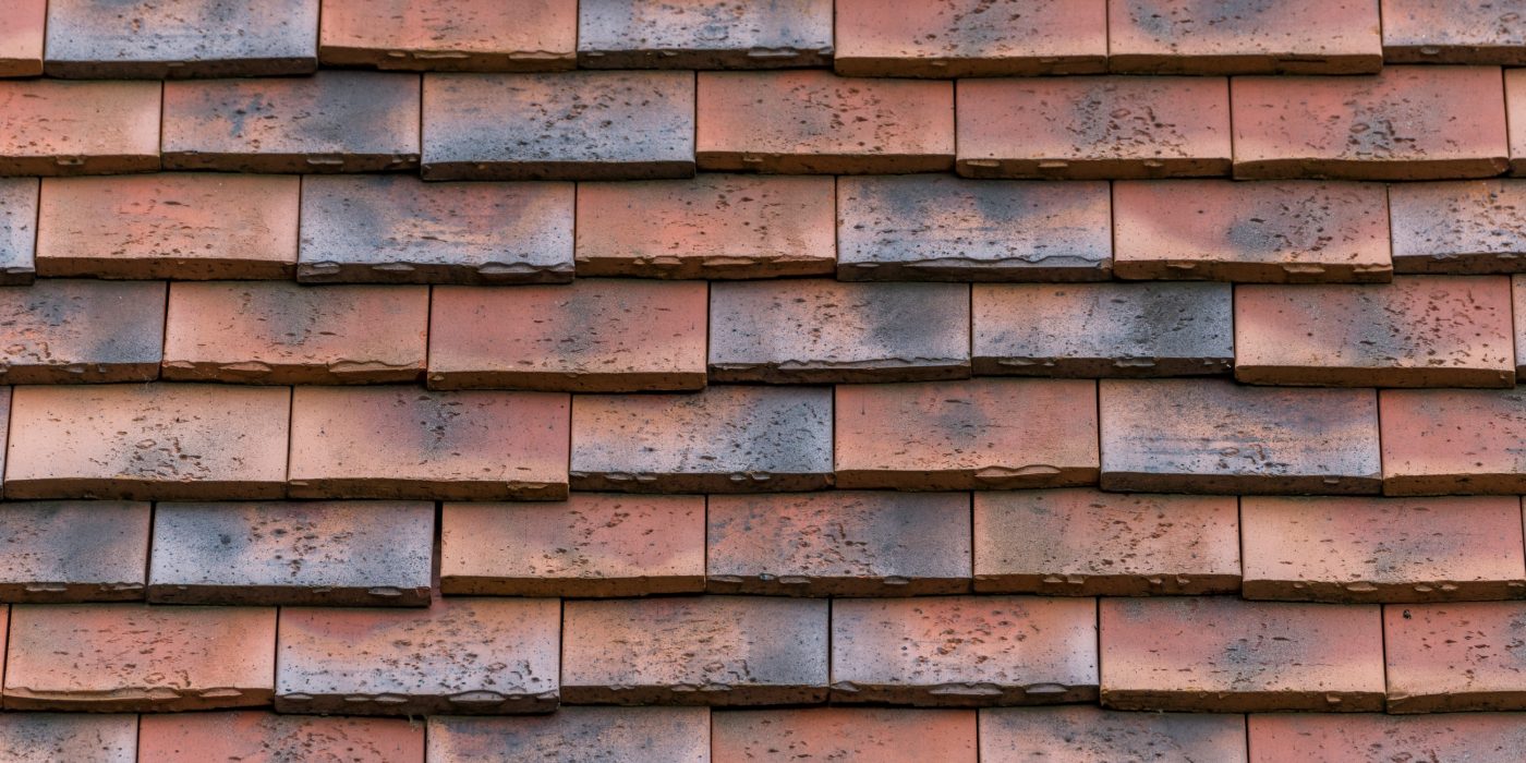 Renovation single family in Dudzele