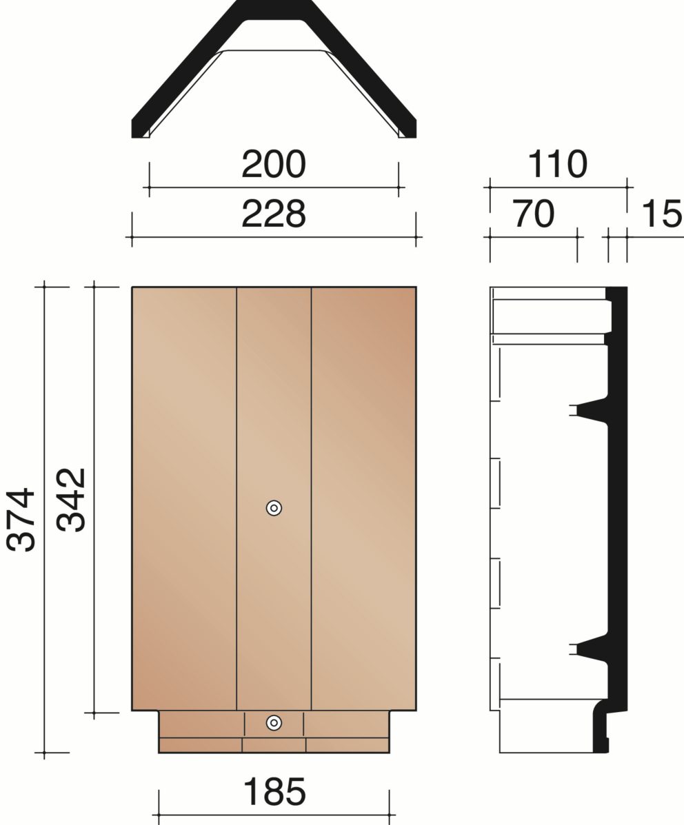 Lantenne - Hoekige vorst - noordboom Actua 10 LT (3 per lm)