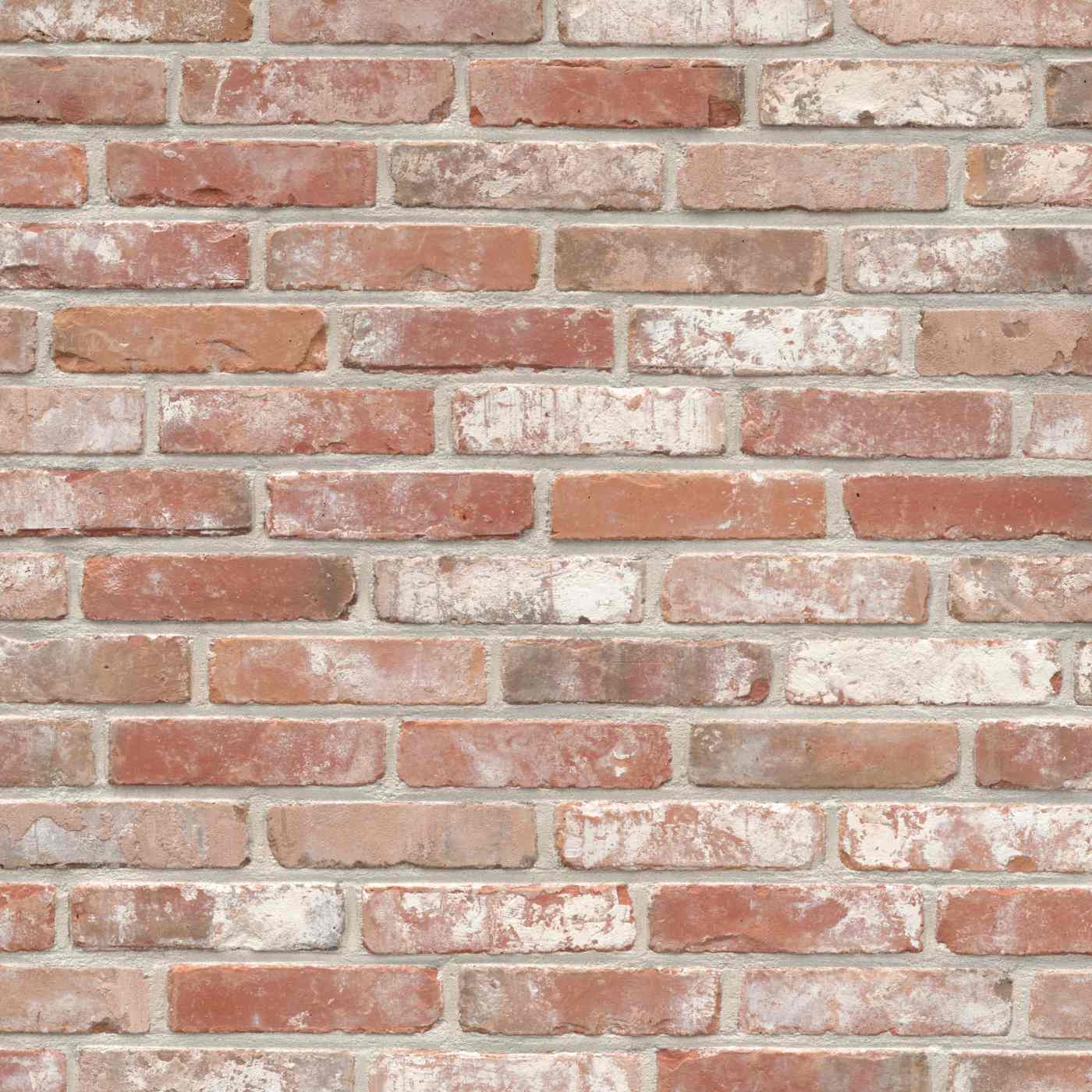 Packshot of a panel with Recup Balense Recup