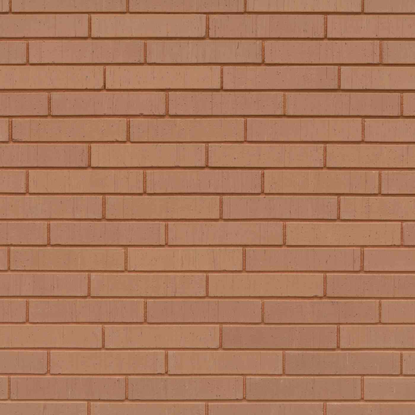 Cosmopolis Salma Roze