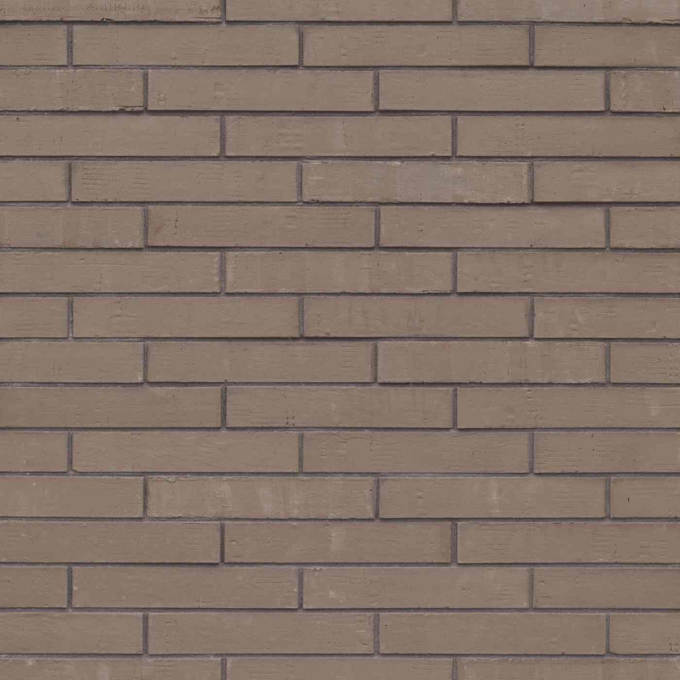 Elignia Gris Torna - Collée