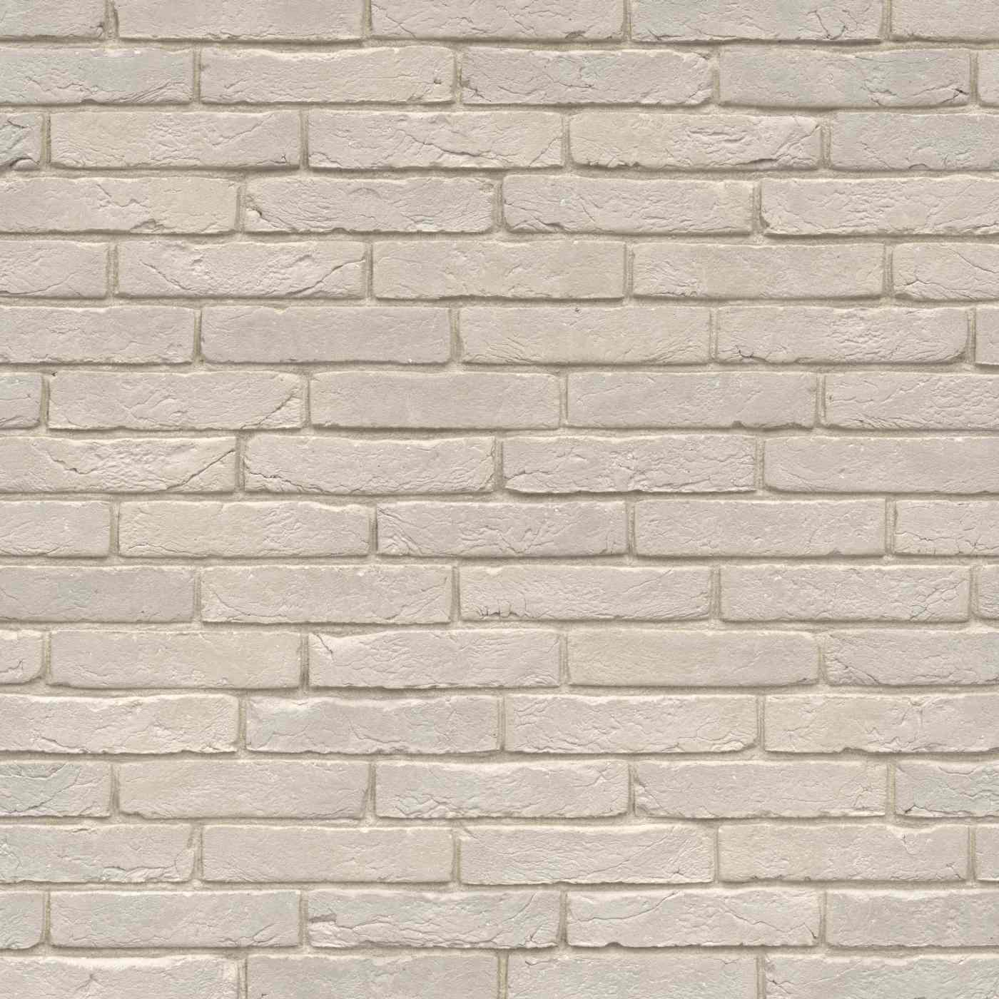 Terca Agora Nevelwit