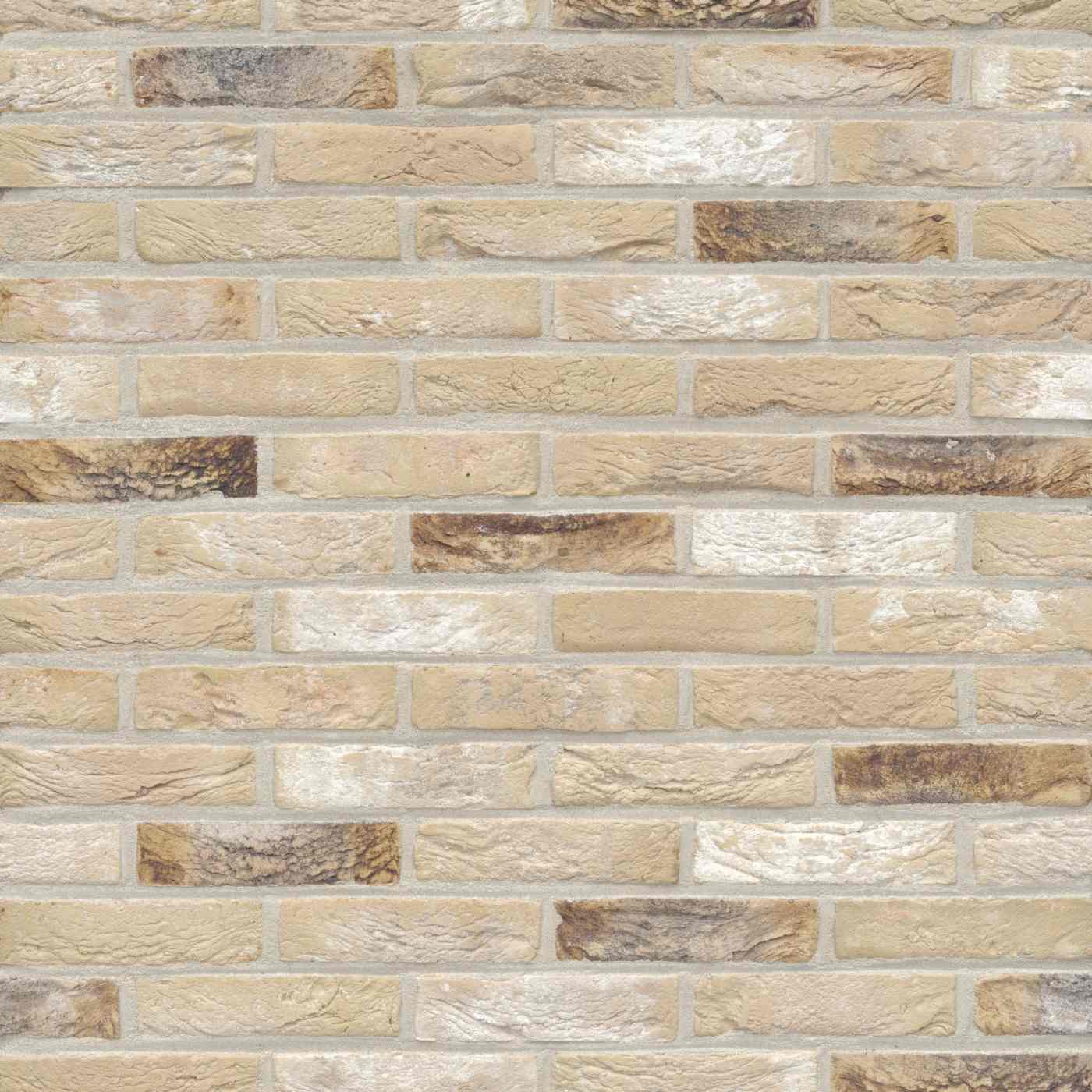 Packshot of a panel with Arces Corn Geel