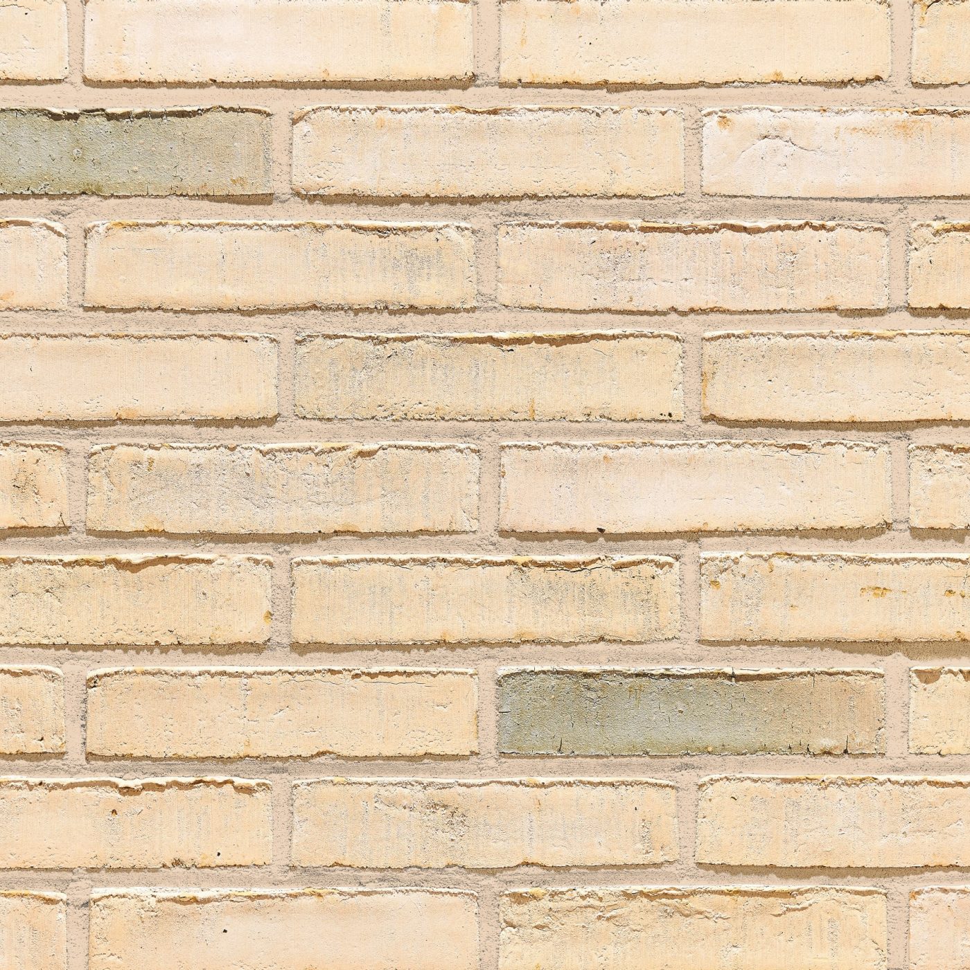 Aquaral Ginger Wit facing bricks in a running bond with mortar