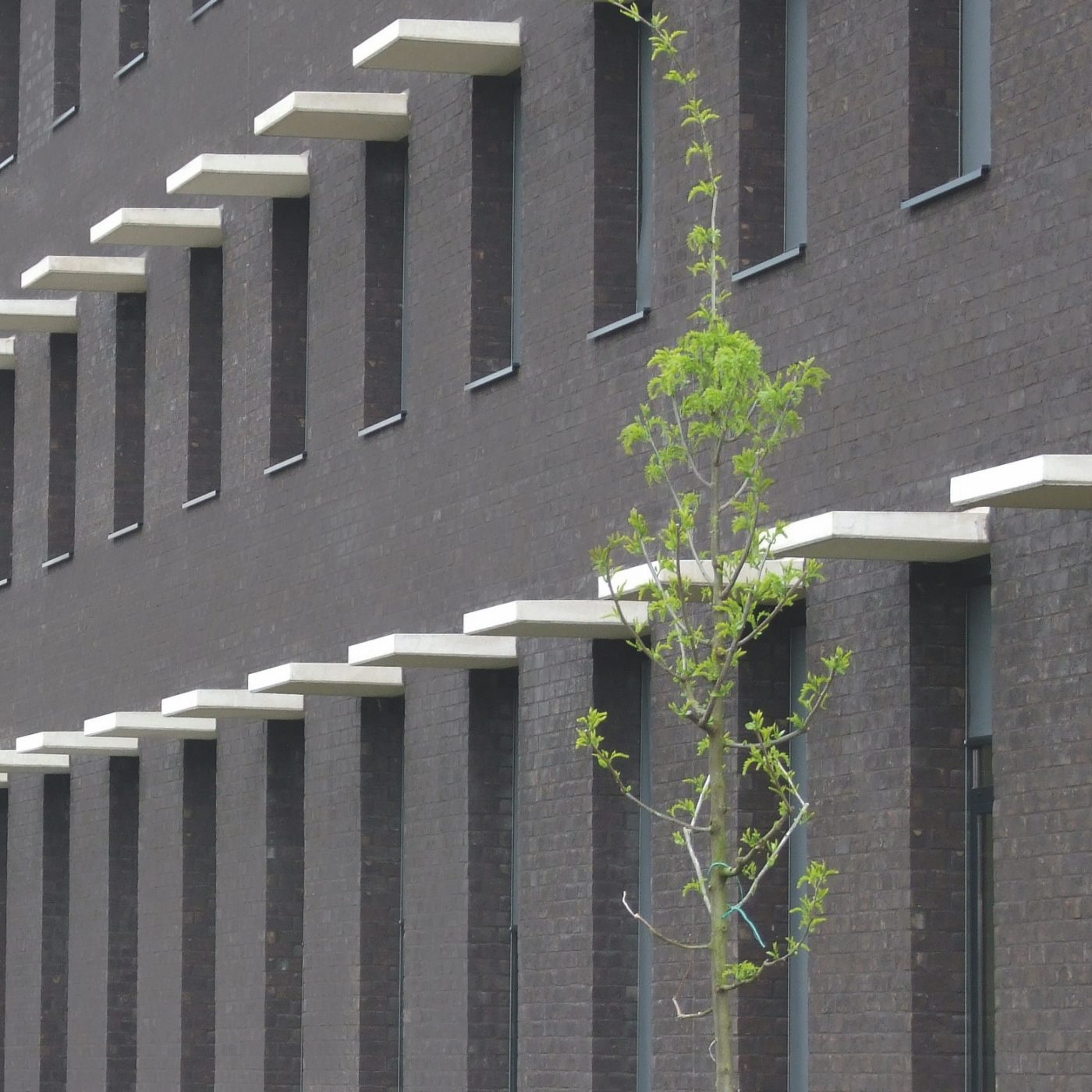 Reference photo new construction education in Gent