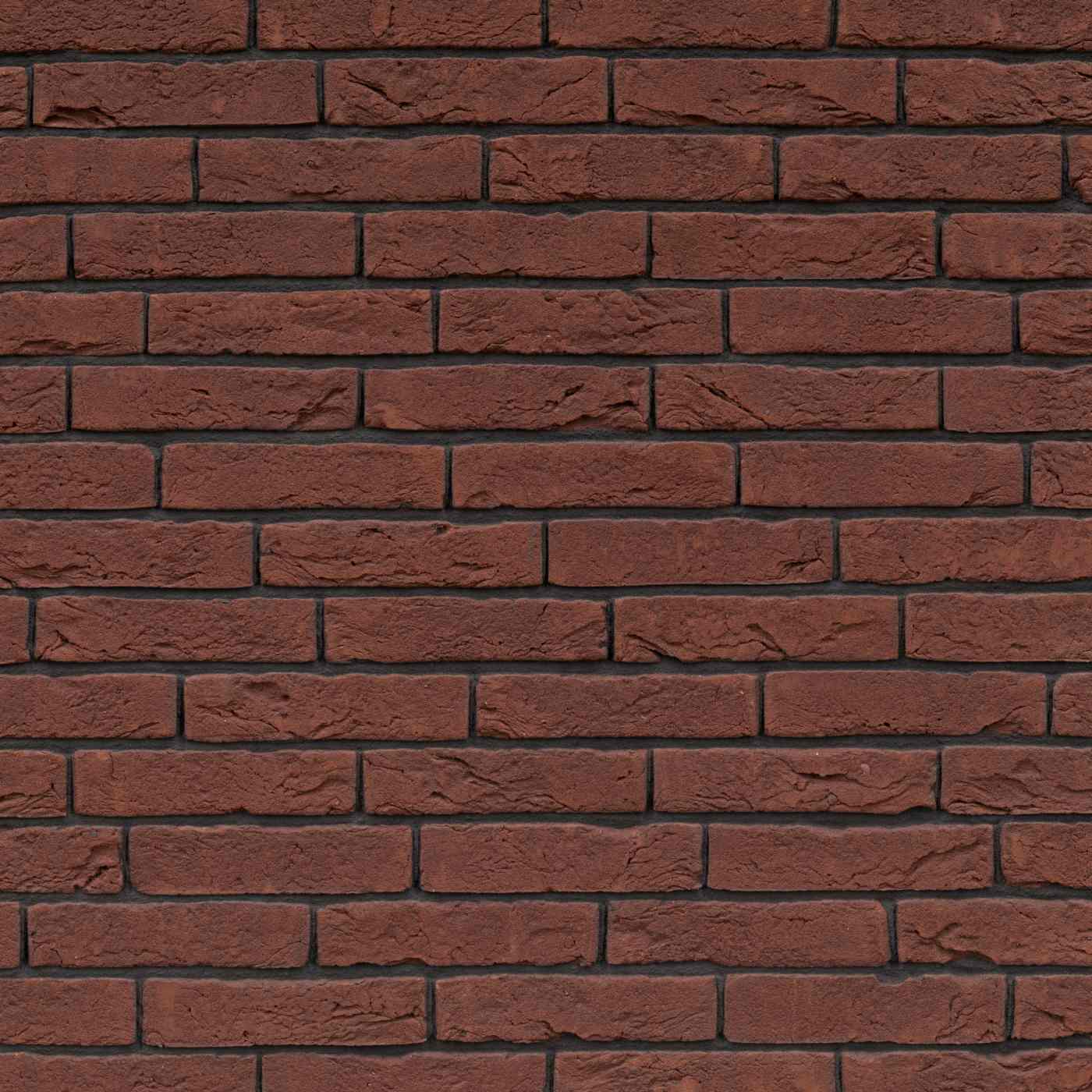 Packshot of a panel with Basia Paepesteen